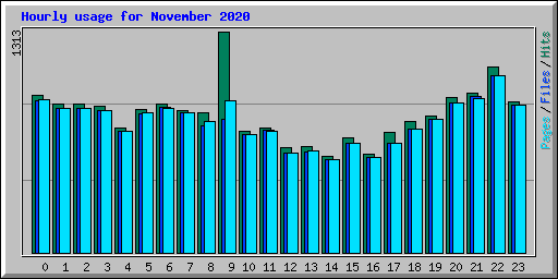 Hourly usage for November 2020